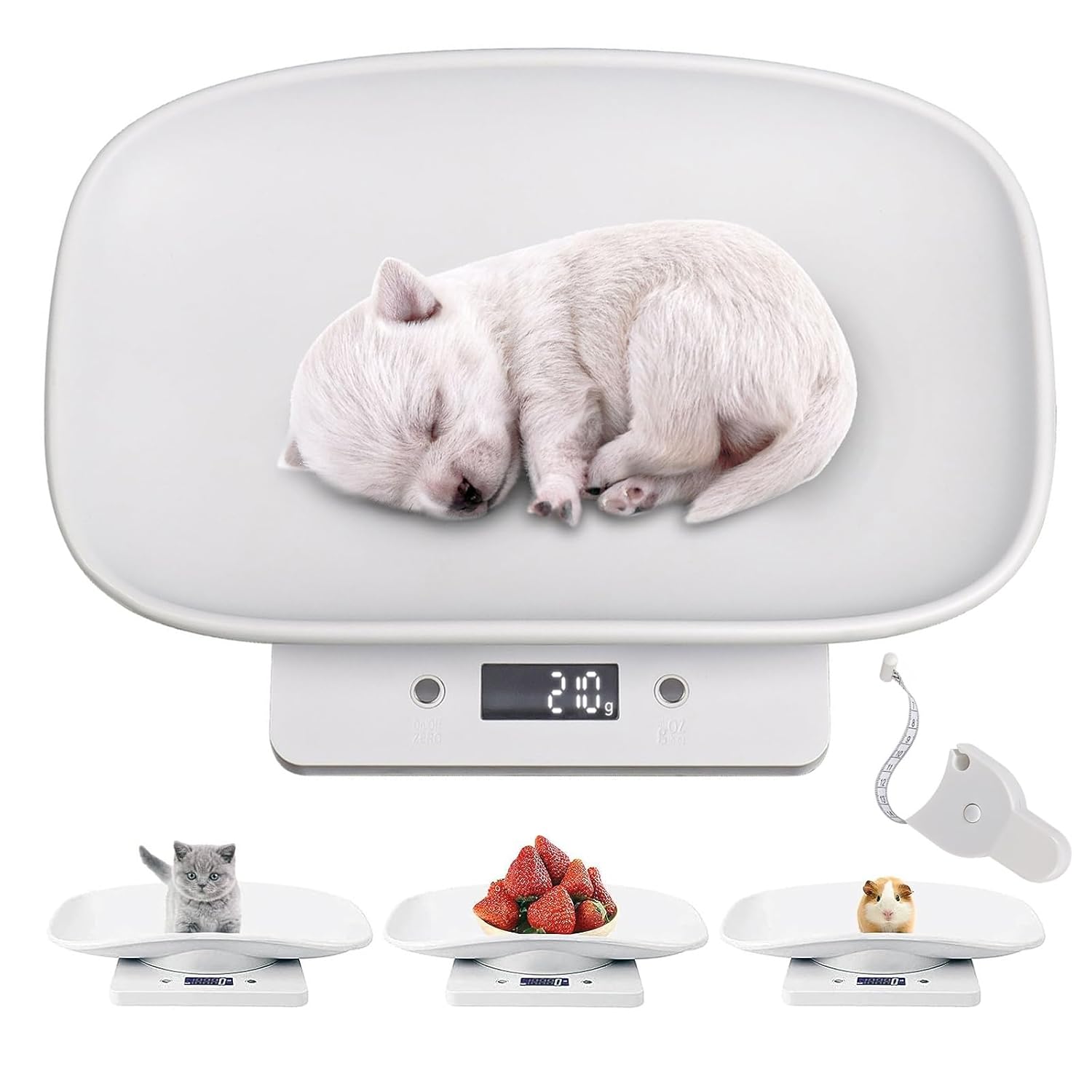 Qulable Digital Precision Scale