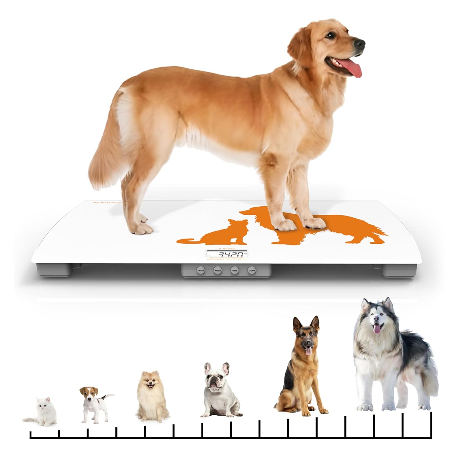 Veterinary / Livestock Weighing Scale